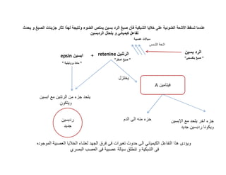 ™•

›• ‘

” Œˆ

’

› • œ„
€

•

€

‰ ˜

€

•€ ‘•

›

+ retenine

epsin
"

…

"

" • ›•"

"

›•"

Ž‹
•

A
ƒ

„

†‹

…

œ„ †‹

ƒ

…

†‹
„

•

’
‡

† ˆ •
Ÿ

‚ • •• ˆ ž …
•
‚ „

—

Ž
•

•Š ™ €

 