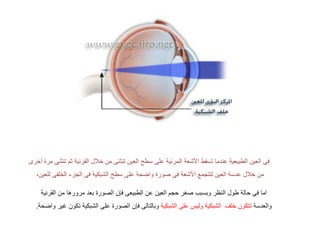 ™

ª

„‘„ ‘ „

«

†‹
„

.…

Š

Ž’
•

„‘„
¦

¦
…

©•

„
•
… ˆ

©•

•

ƒ
Ÿ
›

Ž’
“„ Ž
š

… •

 