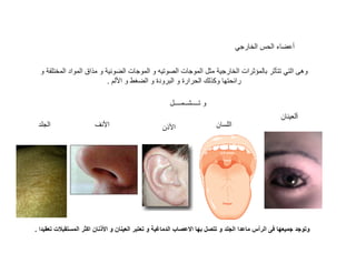 ‡• •
•

™

† ž „•
. ¡
Šž

•

„•

•
•

.

’¡

„

Œ•

•“
¤™

“– ‡

Ž

Ÿ

• …‡•

‚ €Š

‚

‚™¡

Ž

• • „ “”
• †

—ž

…

€•

‡ †Š

‹

• •

 