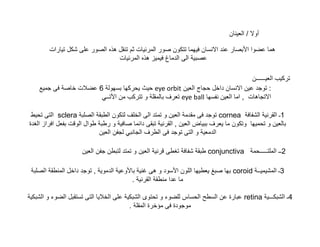 ‚ € /‹
„

•Ÿ

œ™Ž • “ „ †
„ †
œ™Ž

‚

•ˆ‚

‹

¡

ž

Ž

ˆ¥
‚

Œ • ˆ

• „…ž 6 • •
‡ ¡ ‚ š

sclera
ˆ •€ „ •

Š

‚

‰

’•

‚€
ˆ • cornea ˆ Ÿ
,‚€ £ ’ € ‚
•
ˆ •
€

ˆ
†
‚€ ‚• ‡ • ’

‚€ ‚•‚
••

eye orbit ‚ € • •• ‚
’ € eye ball • ‚ €

• ,

‚€
¡

€ š
‹ ‚ • :
, „Ž•‹

Š ˆ Ÿ

¢ Ž

¡ ‚

1
‚€

conjunctiva
• € ¦

• coroid

2
Ÿ

3

.
Ÿ

— ž •

…•

Ÿ ›
.

— ž
•” ˆ •

§

‚

retina

Ÿ 4

 