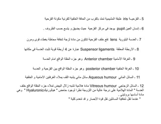 •
.’ © š
‚

› — Š

•

ˆ

€

•

‚ š

Ÿ

‚ ‚

4‚
Œ

pupil ‚ € ‚

lens

Suspensor ligaments
— • Ž

‚ Œ

’• Œ

iris

ˆ •

ž ‰

ˆ Ÿ •

€ „“

€

Œ

ˆ

Anterior chamber

— • Ž posterior chamber

‹ ‚ ˆ Š —… ’ • Ÿ ‡† •†

’• Œ
— • —… £ •‹ • Ÿ
‡Ž " Hyaluronic¤
Ž"£
•
"

…Ž
© •
€

5
¨ 6

€
€

‹ 8

¡ ˆ Š
•

Aqueous humour ‡†

7

ˆ Š

9
10

•†

Vitreous humour ‡• • •†
‚
•
…•
"
.‡
•
¡
• ‚ †
ˆ Ÿ•

11
12
€
"

 