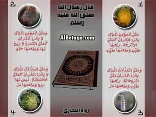 فضائل القرآن الكريم