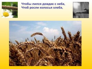 Чтобы лился дождик с неба,
Чтоб росли колосья хлеба,

 