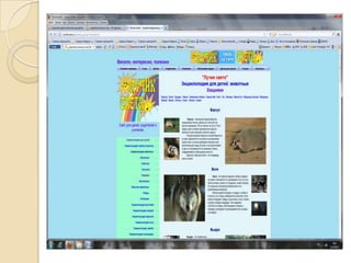 модлели экологии животные