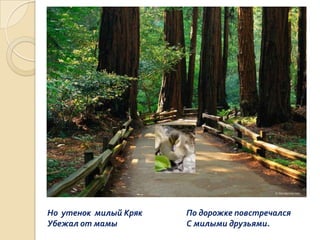 Но утенок милый Кряк
Убежал от мамы

По дорожке повстречался
С милыми друзьями.

 