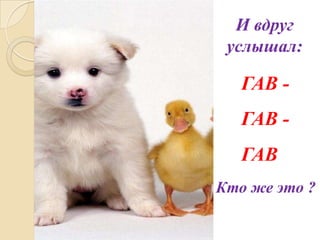 И вдруг
услышал:

ГАВ ГАВ ГАВ
Кто же это ?

 