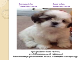 Вот наш Бобик
Славный пес: гав-гав.

Белый лобик,
Черный пес: гав-гав.

Прослушивание песни «Бобик»,
муз. Т. Попатенко, сл. Н. Найденовой
Воспитатель разучивают слова песенки, используя пальчиковую игру.

 