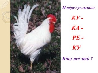 И вдруг услышал

КУ КА РЕ КУ
Кто же это ?

 