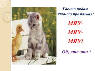 Где-то рядом
кто-то промяукал:

МЯУ-

МЯУМЯУ!
Ой, кто это ?

 