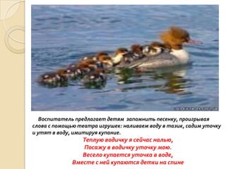 Воспитатель предлагает детям запомнить песенку, проигрывая
слова с помощью театра игрушек: наливаем воду в тазик, садим уточку
и утят в воду, имитируя купание.

Теплую водичку я сейчас налью,
Посажу в водичку уточку мою.
Весело купается уточка в воде,
Вместе с ней купаются детки на спине

 