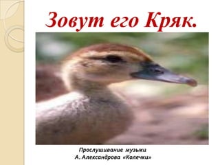 Зовут его Кряк.

Прослушивание музыки
А. Александрова «Колечки»

 