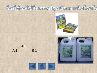 AB
A1

B1
-

 