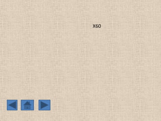 X60

 