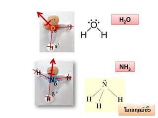 O H

H



H

H2O

+

NH3
N - H

H

+

โมเลก ุลมีขว
ั้

 