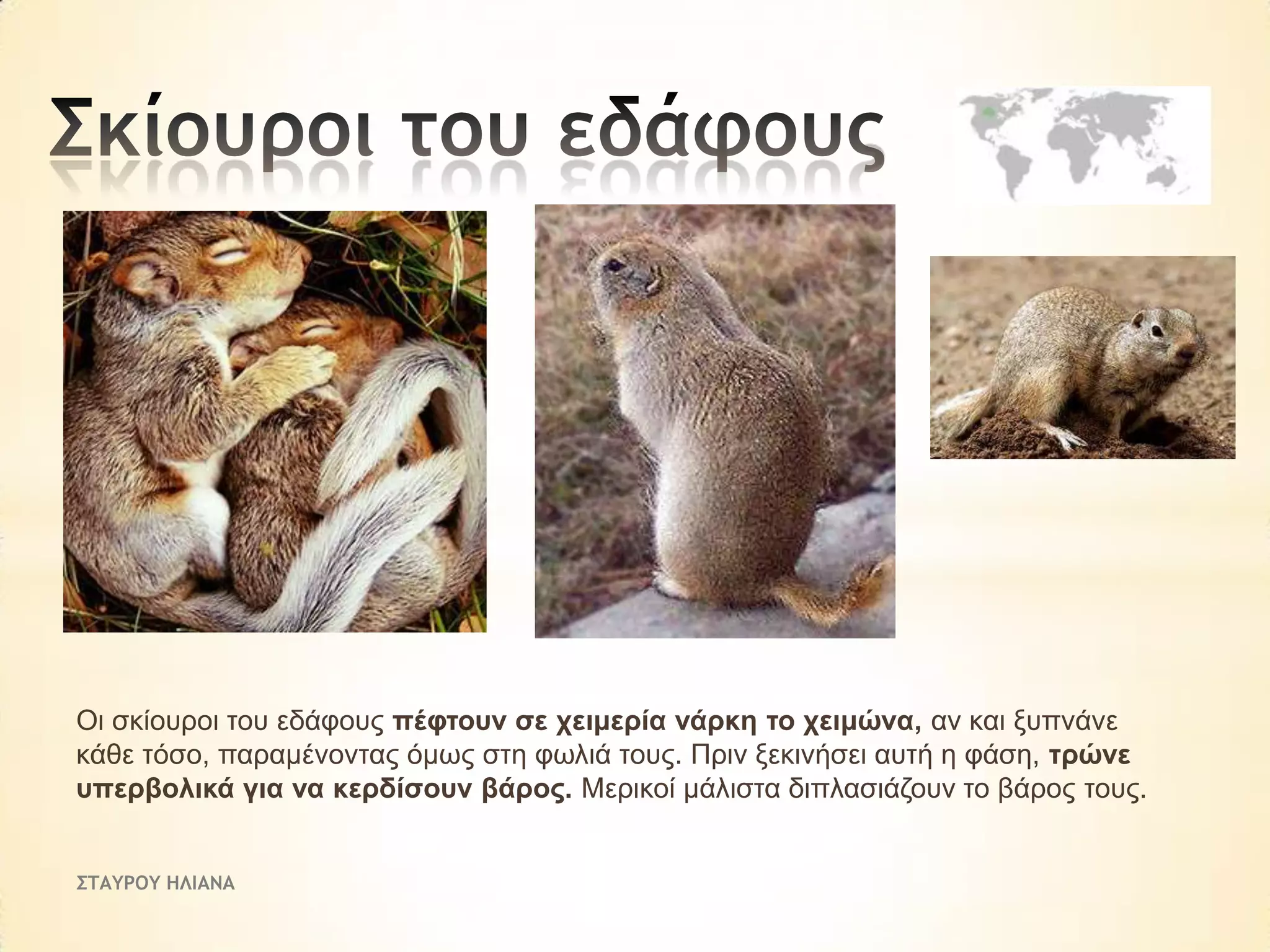 Οη ζθίνπξνη ηνπ εδάθνπο πέθηνπλ ζε ρεηκεξία λάξθε ην ρεηκώλα, αλ θαη μππλάλε
θάζε ηόζν, παξακέλνληαο όκσο ζηε θσιηά ηνπο. Πξηλ μεθηλήζεη απηή ε θάζε, ηξώλε
ππεξβνιηθά γηα λα θεξδίζνπλ βάξνο. Μεξηθνί κάιηζηα δηπιαζηάδνπλ ην βάξνο ηνπο.
ΣΤΑΥΡΟΥ ΗΛΙΑΝΑ

 