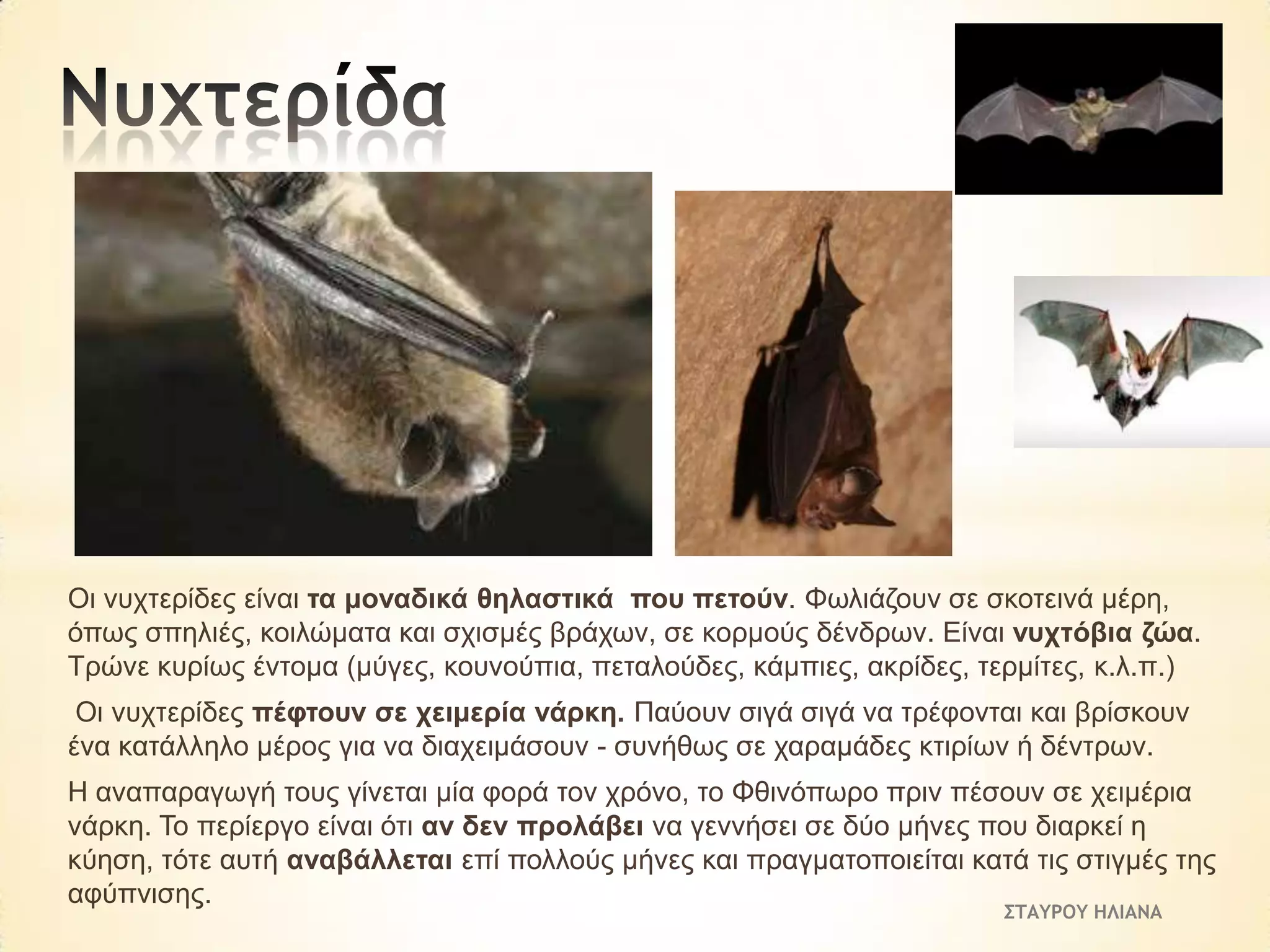 Οη λπρηεξίδεο είλαη ηα κνλαδηθά ζειαζηηθά πνπ πεηνύλ. Φσιηάδνπλ ζε ζθνηεηλά κέξε,
όπσο ζπειηέο, θνηιώκαηα θαη ζρηζκέο βξάρσλ, ζε θνξκνύο δέλδξσλ. Είλαη λπρηόβηα δώα.
Τξώλε θπξίσο έληνκα (κύγεο, θνπλνύπηα, πεηαινύδεο, θάκπηεο, αθξίδεο, ηεξκίηεο, θ.ι.π.)
Οη λπρηεξίδεο πέθηνπλ ζε ρεηκεξία λάξθε. Παύνπλ ζηγά ζηγά λα ηξέθνληαη θαη βξίζθνπλ
έλα θαηάιιειν κέξνο γηα λα δηαρεηκάζνπλ - ζπλήζσο ζε ραξακάδεο θηηξίσλ ή δέληξσλ.
Η αλαπαξαγσγή ηνπο γίλεηαη κία θνξά ηνλ ρξόλν, ην Φζηλόπσξν πξηλ πέζνπλ ζε ρεηκέξηα
λάξθε. Τν πεξίεξγν είλαη όηη αλ δελ πξνιάβεη λα γελλήζεη ζε δύν κήλεο πνπ δηαξθεί ε
θύεζε, ηόηε απηή αλαβάιιεηαη επί πνιινύο κήλεο θαη πξαγκαηνπνηείηαη θαηά ηηο ζηηγκέο ηεο
αθύπληζεο.
ΣΤΑΥΡΟΥ ΗΛΙΑΝΑ

 