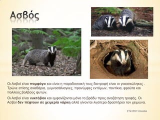 Οη Αζβνί είλαη πακθάγα θαη είλαη ε παξαδνζηαθή ηνπο δηαηξνθή είλαη νη γαηνζθώιεθεο .
Τξώλε επίζεο ζθαζάξηα, γπκλνζάιηαγθεο, πξνλύκθεο εληόκσλ, πνληίθηα, θξνύηα θαη
πνιινύο βνιβνύο θπηώλ.
Οη Αζβνί είλαη λπθηόβηνη θαη εκθαλίδνληαη κόλν ην βξάδπ πξνο αλαδήηεζε ηξνθήο. Οη
Αζβνί δελ πέθηνπλ ζε ρεηκεξία λάξθε αιιά γίλνληαη ιηγόηεξν δξαζηήξηνη ηνλ ρεηκώλα.
ΣΤΑΥΡΟΥ ΗΛΙΑΝΑ

 