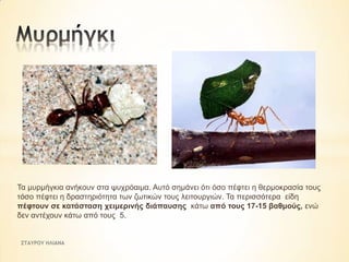 Τα κπξκήγθηα αλήθνπλ ζηα ςπρξόαηκα. Απηό ζεκάλεη όηη όζν πέθηεη ε ζεξκνθξαζία ηνπο
ηόζν πέθηεη ε δξαζηεξηόηεηα ησλ δσηηθώλ ηνπο ιεηηνπξγηώλ. Τα πεξηζζόηεξα είδε
πέθηνπλ ζε θαηάζηαζε ρεηκεξηλήο δηάπαπζεο θάησ από ηνπο 17-15 βαζκνύο, ελώ
δελ αληέρνπλ θάησ από ηνπο 5.

ΣΤΑΥΡΟΥ ΗΛΙΑΝΑ

 