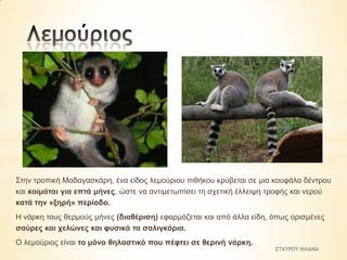 Σηελ ηξνπηθή Μαδαγαζθάξε, έλα είδνο ιεκνύξηνπ πηζήθνπ θξύβεηαη ζε κηα θνπθάια δέληξνπ
θαη θνηκάηαη γηα επηά κήλεο, ώζηε λα αληηκεησπίζεη ηε ζρεηηθή έιιεηςε ηξνθήο θαη λεξνύ
θαηά ηελ «μεξή» πεξίνδν.
Η λάξθε ηνπο ζεξκνύο κήλεο (δηαζέξηζε) εθαξκόδεηαη θαη από άιια είδε, όπσο νξηζκέλεο
ζαύξεο θαη ρειώλεο θαη θπζηθά ηα ζαιηγθάξηα.
Ο ιεκνύξηνο είλαη ην κόλν ζειαζηηθό πνπ πέθηεη ζε ζεξηλή λάξθε.

ΣΤΑΥΡΟΥ ΗΛΙΑΝΑ

 