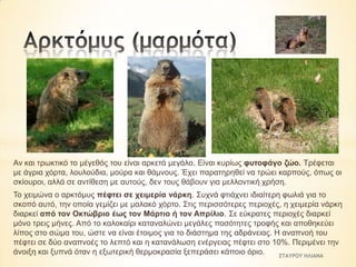 Αλ θαη ηξσθηηθό ην κέγεζόο ηνπ είλαη αξθεηά κεγάιν. Είλαη θπξίσο θπηνθάγν δών. Τξέθεηαη
κε άγξηα ρόξηα, ινπινύδηα, κνύξα θαη ζάκλνπο. Έρεη παξαηεξεζεί λα ηξώεη θαξπνύο, όπσο νη
ζθίνπξνη, αιιά ζε αληίζεζε κε απηνύο, δελ ηνπο ζάβνπλ γηα κειινληηθή ρξήζε.
Τν ρεηκώλα ν αξθηόκπο πέθηεη ζε ρεηκεξία λάξθε. Σπρλά θηηάρλεη ηδηαίηεξε θσιηά γηα ην
ζθνπό απηό, ηελ νπνία γεκίδεη κε καιαθό ρόξην. Σηηο πεξηζζόηεξεο πεξηνρέο, ε ρεηκεξία λάξθε
δηαξθεί από ηνλ Οθηώβξην έσο ηνλ Μάξηην ή ηνλ Απξίιην. Σε εύθξαηεο πεξηνρέο δηαξθεί
κόλν ηξεηο κήλεο. Από ην θαινθαίξη θαηαλαιώλεη κεγάιεο πνζόηεηεο ηξνθήο θαη απνζεθεύεη
ιίπνο ζην ζώκα ηνπ, ώζηε λα είλαη έηνηκνο γηα ην δηάζηεκα ηεο αδξάλεηαο. Η αλαπλνή ηνπ
πέθηεη ζε δύν αλαπλνέο ην ιεπηό θαη ε θαηαλάισζε ελέξγεηαο πέθηεη ζην 10%. Πεξηκέλεη ηελ
άλνημε θαη μππλά όηαλ ε εμσηεξηθή ζεξκνθξαζία μεπεξάζεη θάπνην όξην.
ΣΤΑΥΡΟΥ ΗΛΙΑΝΑ

 