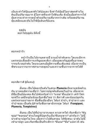 8

เย็น จะทำา ให้ป ุ๋ย แตกตัว ได้น ้อ ยลง จึง ทำา ให้ป ุ๋ย มีโ อกาสตกค้า งใน
ดิน เป็น ปริม าณมาก มีโ อกาสที่จ ะทำา ให้ด ิน เค็ม ดัง นั้น เมื่อ ทำา การให้
ปุ๋ย ควรจะทำา การรดนำ้า ด้ว ยปริม าณที่ม ากกว่า เดิม หรือ ลดปริม าณ
ปุ๋ย เคมีล งและหัน ไปใช้ป ุ๋ย อิน ทรีย ์แ ทน
ฤดูฝ น
ดอกไม้ฤ ดูฝ น มีด ัง นี้

ดอกหน้า วัว
หน้า วัว เป็น ไม้อ ายุห ลายปี อวบนำ้า ลำา ต้น ตรง โดยจะมีก าร
แตกหน่อ เลื้อ ยมีก ารเจริญ ยอดเดีย ว เมื่อ ยอดเจริญ สูง ขึ้น อาจพบ
รากบริเ วณลำา ต้น โดยจะแตกเมือ มีค วามชื้น เพีย งพอ เนื่อ งจากเป็น
พืช ระบบรากอากาศสามารถดูด นำ้า และความชื้น จากอากาศได้ด ี

ดอกลีล าวดี (ลั่น ทม)
ลั่น ทม เป็น ไม้ด อกยืน ต้น ในสกุล Plumeria มีห ลายชนิด ด้ว ย
กัน บางคนมีค วามเชื่อ ว่า ไม่ค วรปลูก ต้น ลั่น ทมในบ้า น เนื่อ งจาก
มีช ื่อ เป็น อัป มงคล คือ ไปพ้อ งกับ คำา ว่า 'ระทม' ซึ่ง แปลว่า เศร้า โศก
ทุก ข์ใ จ แต่ป ัจ จุบ ัน นิย มเรีย กชื่อ ใหม่ ว่า ลีล าวดี และนิย มปลูก กัน
แพร่ห ลายอย่า งมาก ชื่อ พื้น เมือ งอื่น ๆ ได้แ ก่ จำา ปา, จำา ปาลาว และ
จำา ปาขอม เป็น ต้น (สำา หรับ ชื่อ ภาษาอัง กกฤษ ได้แ ก่ Frangipani,
Plumeria, Templetree)
ลั่น ทม เป็น ไม้ท ี่น ำา มาจากเขมร ทางภาคใต้ เรีย กชื่อ ว่า "ต้น
ขอม" "ดอกอม" ส่ว นใหญ่ท ี่ป ลูก กัน เป็น "ลั่น ทมขาว" เล่า กัน ว่า ไม้น ี้
นำา เข้า มาปลูก ในไทย เมื่อ คราวไปตีน ครธม ได้ช ัย ชนะ นำา ต้น ไม้น ี้
เข้า มาปลูก และเรีย กชื่อ เป็น ที่ร ะลึก ว่า "ลั่น ธม" "ลั่น " แปลว่ ตี เช่น

 