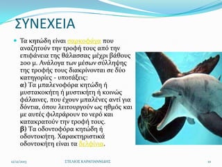 ΢ΤΝΕΧΕΙΑ
 Σα κητώδη εύναι ςαρκοφϊγα που

αναζητούν την τροφό τουσ από την
επιφϊνεια τησ θϊλαςςασ μϋχρι βϊθουσ
200 μ. Ανϊλογα των μϋςων ςύλληψησ
τησ τροφόσ τουσ διακρύνονται ςε δύο
κατηγορύεσ - υποτϊξεισ:
α) Tα μπαλενοφόρα κητώδη ό
μυςτακοκότη ό μυςτικότη ό κοινώσ
φϊλαινεσ, που ϋχουν μπαλϋνεσ αντύ για
δόντια, όπου λειτουργούν ωσ ηθμόσ και
με αυτϋσ φιλτρϊρουν το νερό και
κατακρατούν την τροφό τουσ.
β) Tα οδοντοφόρα κητώδη ό
οδοντοκότη. Χαρακτηριςτικϊ
οδοντοκότη εύναι τα δελφύνια.
12/12/2013

΢ΣΕΛΙΟ΢ ΚΑΡΑΓΙΑΝΝΙΔΗ΢

10

 
