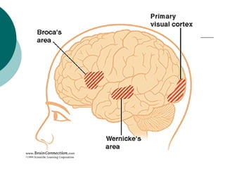 Ишемический инсульт






Нуруу-суурийн
артерийн сав
Тархины ерөнхий
шинж: толгой
өвдөх, толгой
эргэх, огих
бөөлжих
Го...
