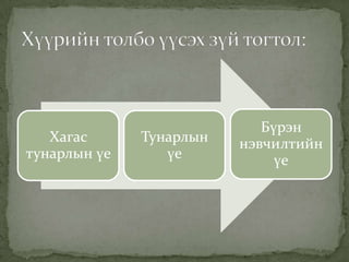 Хагас
тунарлын үе

Тунарлын
үе

Бүрэн
нэвчилтийн
үе

 