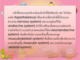 หน้าทีของระบบอวัยวะมักจะมีหน้าที่ทับซ้อนกัน เช่น ไฮโปทา
่
ลามัส (hypothalamus) เป็นอวัยวะที่ทาหน้าทีทั้งในระบบ
่
ประสาท (nervous system) และระบบต่อมไร้ท่อ
(endocrine system) ทาให้การศึกษาทั้งสองระบบมักจะทา
ร่วมกันเรียกว่า ระบบประสาทและต่อมไร้ท่อ (neuroendocrine
system) เช่นเดียวกันกับ ระบบกล้ามเนื้อและกระดูก
(musculoskeletal system) ซึ่งเป็นความเกี่ยวข้องกันระหว่าง
ระบบกล้ามเนื้อ (muscular system) และ ระบบโครงกระดูก
(skeletal system)

 
