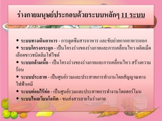 ร่างกายมนุษย์ประกอบด้วยระบบหลักๆ 11 ระบบ
• ระบบทางเดินอาหาร - การดูดซึมสารอาหาร และขับถ่ายกากอาหารออก
• ระบบโครงกระดูก - เป็นโครงร่างของร่างกายและการเคลื่อนไหว ผลิตเม็ด
เลือดขาวชนิดลิมโฟไซต์
• ระบบกล้ามเนื้อ - เป็นโครงร่างของร่างกายและการเคลื่อนไหว สร้างความ
ร้อน
• ระบบประสาท - เป็นศูนย์รวมและประสาทการทางานโดยสัญญาณทาง
ไฟฟ้าเคมี
• ระบบต่อมไร้ท่อ - เป็นศูนย์รวมและประสาทการทางานโดยฮอร์โมน
• ระบบไหลเวียนโลหิต - ขนส่งสารภายในร่างกาย

 