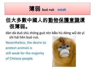 薄弱 buó ruò

weak

但大多數中國人的動物保護意識還
很薄弱。
dàn dà duō shù zhōng guó rén bǎo hù dòng wǔ de yì
shì hái hěn buó ruò.
Nevertheless, the desire to
protect animals is
still weak for the majority
of Chinese people.

 