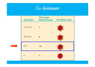 Co dominant

 