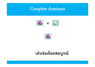 Complete dominant
x

เด่ นข่ มด้ อยสมบูรณ์

 