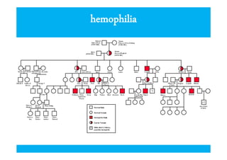 Sex-linked inheritance
hemophilia

 