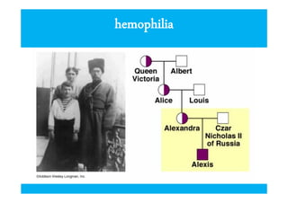 Sex-linked inheritance
hemophilia

 