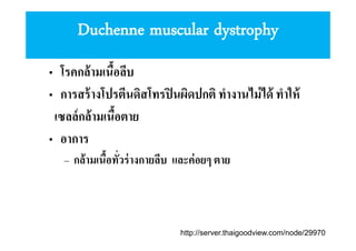 Duchenne muscular dystrophy
• โรคกล้ามเนือลีบ
• การสร้ างโปรตีนดิสโทรปิ นผิดปกติ ทํางานไม่ ได้ ทําให้
เซลล์กล้ามเนือตาย
• อาการ
– กล้ามเนือทัวร่ างกายลีบ และค่ อยๆ ตาย

http://server.thaigoodview.com/node/29970

 