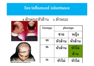 Sex-influenced inheritance
B ลักษณะหัวล้ าน

หัวไม่ล้าน

Genotype
BB
Bb
bb

b ลักษณะ
phenotype

ชาย
หญิง
หัวล้ าน หัวล้ าน
หัวล้ าน หัวไม่
ล้ าน
หัวไม่ หัวไม่

 