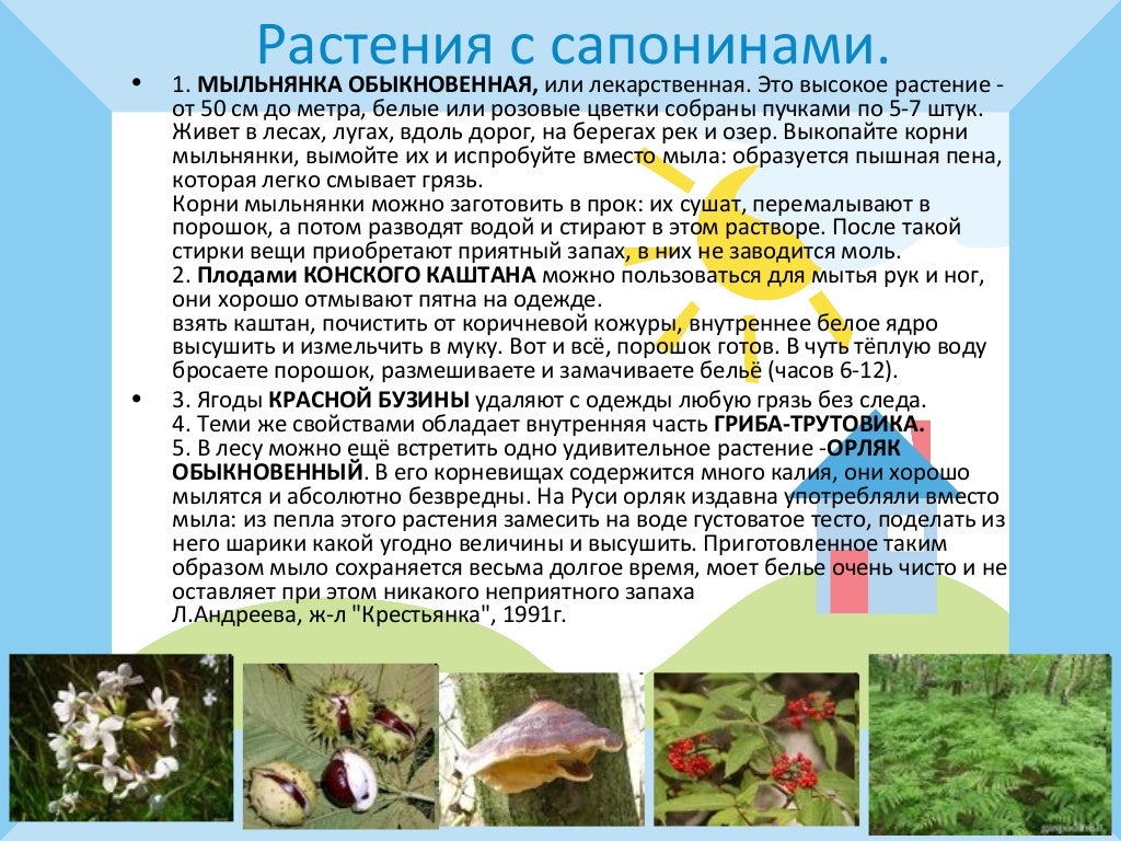 «Натуральные бытовые средства»