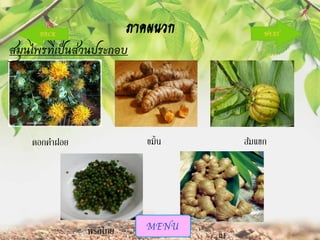 ภาคผนวก

สมุนไพรที่เป็นส่วนประกอบ

ขมิ้น

ดอกคาฝอย

พริกไทย

ส้มแขก

ขิง

 