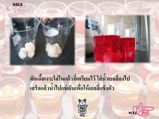 ตักเนือเงาะใส่ ในแก้ วทีเ่ ตรียมไว้ ใส่ นําเยลลีลงไป
้
้
่
เสร็จแล้ วนําไปแช่ เย็นเพือให้ เยลลีแข็งตัว
้
่
่

 