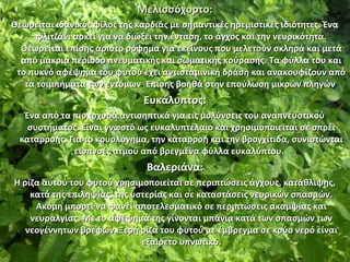 Μελισσόχορτο:
Θεωρείται ιδανικός φίλος της καρδιάς με σημαντικές ηρεμιστικές ιδιότητες. Ένα
φλιτζάνι αρκεί για να διώξει την ένταση, το άγχος και την νευρικότητα.
Θεωρείται επίσης άριστο ρόφημα για εκείνους που μελετούν σκληρά και μετά
από μακριά περίοδο πνευματικής και σωματικής κούρασης. Τα φύλλα του και
το πυκνό αφέψημα του φυτού έχει αντισταμινική δράση και ανακουφίζουν από
τα τσιμπήματα των εντόμων. Επίσης βοηθά στην επούλωση μικρών πληγών .

Ευκάλυπτος:
Ένα από τα πιο ισχυρά αντισηπτικά για τις μολύνσεις του αναπνευστικού
συστήματος. Είναι γνωστό ως ευκαλυπτέλαιο και χρησιμοποιείται σε σπρέι
καταρροής. Για το κρυολόγημα, την καταρροή και την βρογχίτιδα, συνιστώνται
εισπνοές ατμού από βρεγμένα φύλλα ευκαλύπτου.

Βαλεριάνα:
Η ρίζα αυτού του φυτού χρησιμοποιείται σε περιπτώσεις άγχους, κατάθλιψης,
κατά της επιληψίας, της υστερίας και σε καταστάσεις νευρικών σπασμών.
Ακόμη μπορεί να φανεί αποτελεσματικό σε περιπτώσεις ακαμψίας και
νευραλγίας. Με το αφέψημά της γίνονται μπάνια κατά των σπασμών των
νεογέννητων βρεφών. Ξερή ρίζα του φυτού με έμβρεγμα σε κρύο νερό είναι
εξαίρετο υπνωτικό.

 