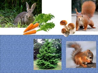 Logical ties between objects