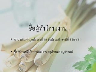 ชื่อผูทาโครงงาน
้
• นาย บดินทร์ มูลมัง เลขที่ 18 ชันมัธยมศึกษาปี ที่ 6 ห้ อง 11
่
้
• ชื่ออาจารย์ที่ปรึกษาโครงงาน ครูเขื่อนทอง มูลวรรณ์

 