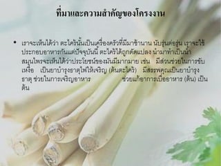 ที่มาและความสาคัญของโครงงาน
• เราจะเห็นได้ วา ตะไคร้ นนเป็ นเครื่ องครัวที่มีมาช้ านาน นับรุ่นต่อรุ่ น เราจะใช้
่
ั้
ประกอบอาหารกันแต่ปัจจุบนนี ้ ตะไคร้ ได้ ถกดัดแปลง นามาทาเป็ นน ้า
ั
ู
สมุนไพรจะเห็นได้ วาประโยชน์ของมันมีมากมาย เช่น มีสวนช่วยในการขับ
่
่
เหงื่อ เป็ นยาบารุ งธาตุไฟให้ เจริ ญ (ต้ นตะไคร้ ) มีสรรพคุณเป็ นยาบารุ ง
ธาตุ ช่วยในการเจริ ญอาหาร
ช่วยแก้ อาการเบื่ออาหาร (ต้ น) เป็ น
ต้ น

 