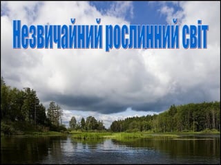 південний берег криму
