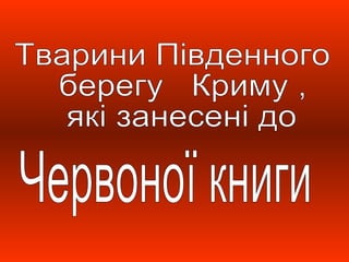 південний берег криму