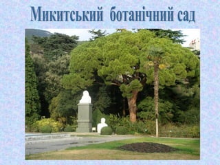 південний берег криму