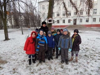 как мы помогли птицам