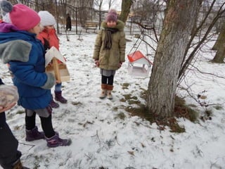 как мы помогли птицам