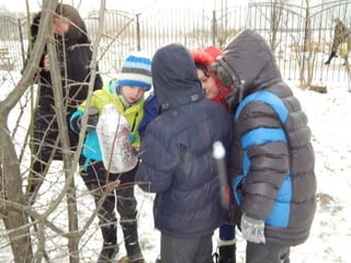 как мы помогли птицам